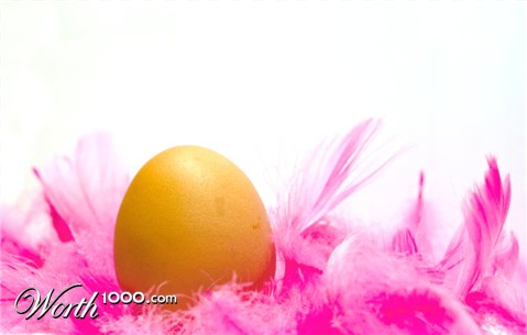 Photography by sanderleeuw