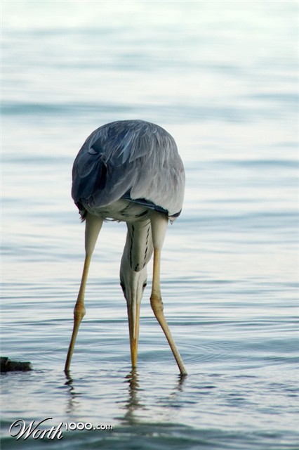 Photography by Marian