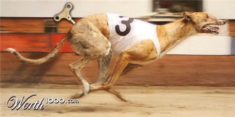 Photoshop Design by smartassplayingdumb