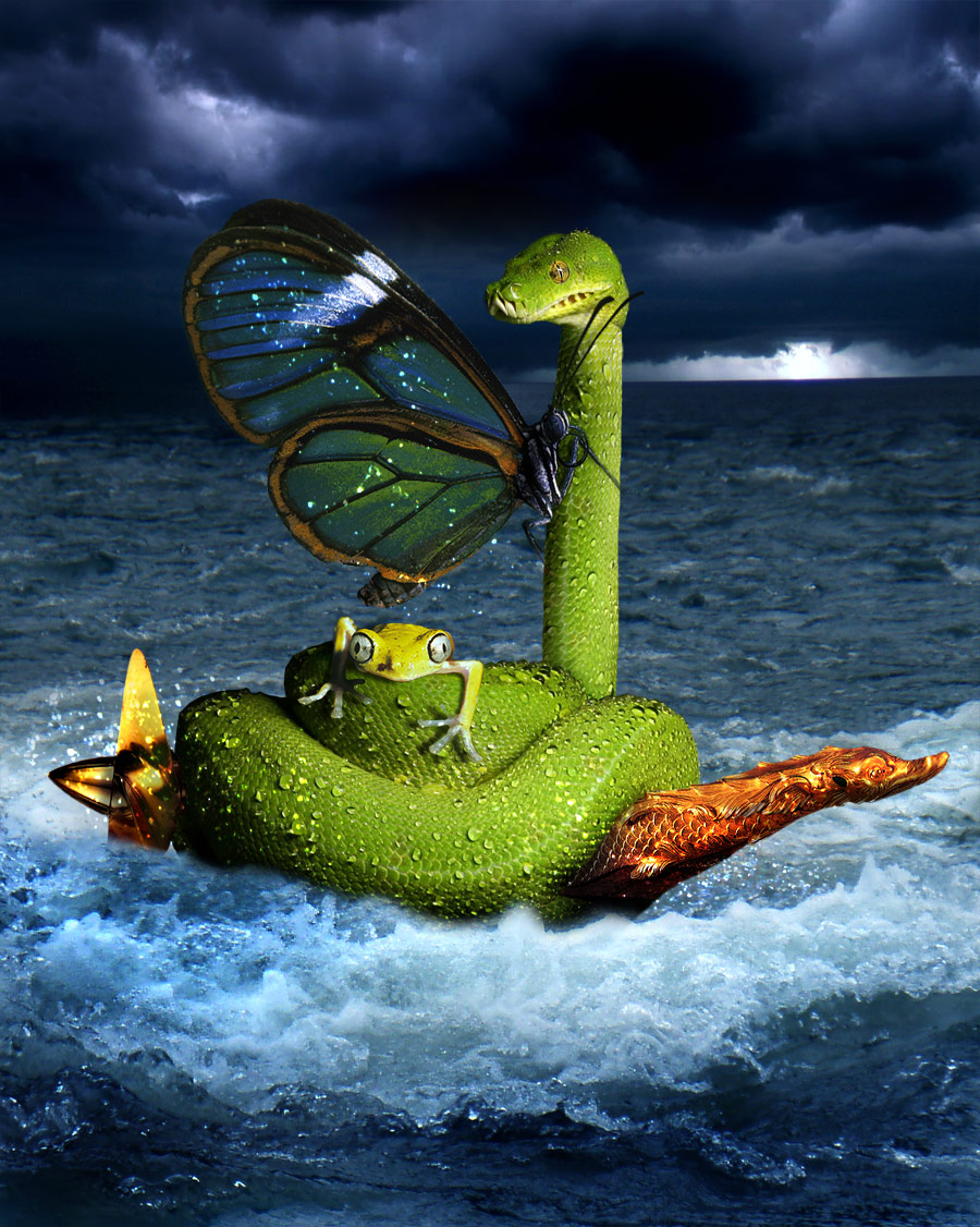 Photoshop-Design von cameon für DesignCrowd (Community Contests) | Design #8983466