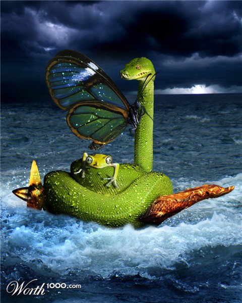 Photoshop Design by cameon