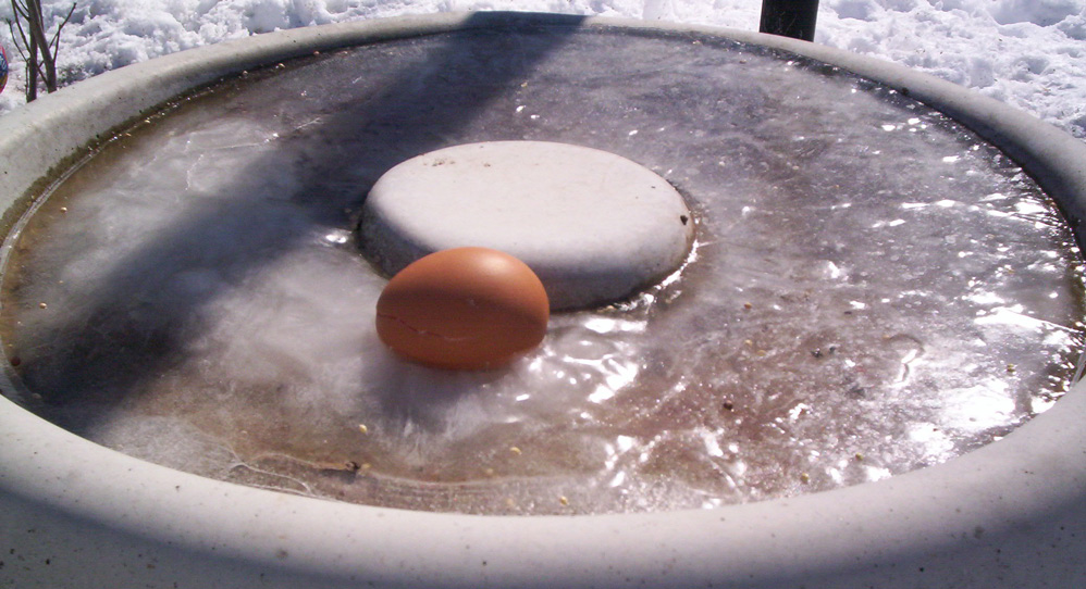 Photography by Chimmi for DesignCrowd (Community Contests) | Design #8992569