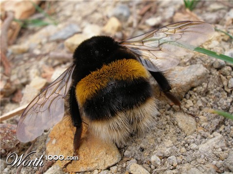 Photography by Andromeda5000