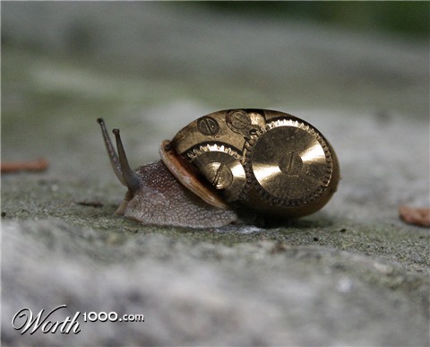 Photoshop Design by jaysin777