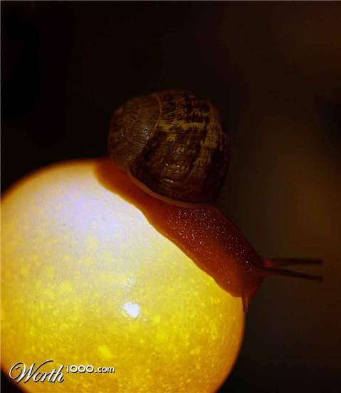 Photography by tyry222