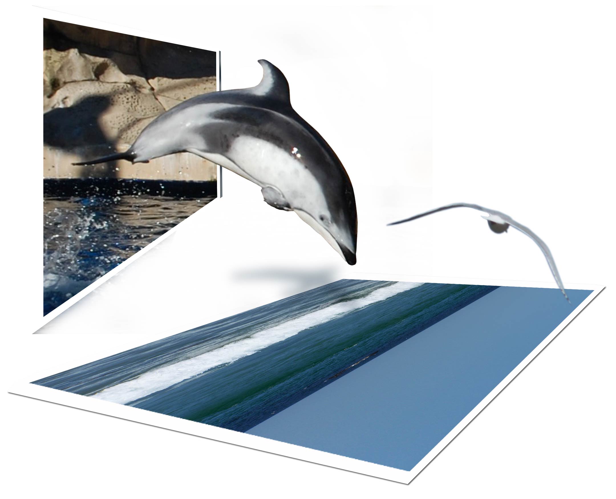 Design Photoshop par jlboucher pour DesignCrowd (Community Contests) | Design #8987845