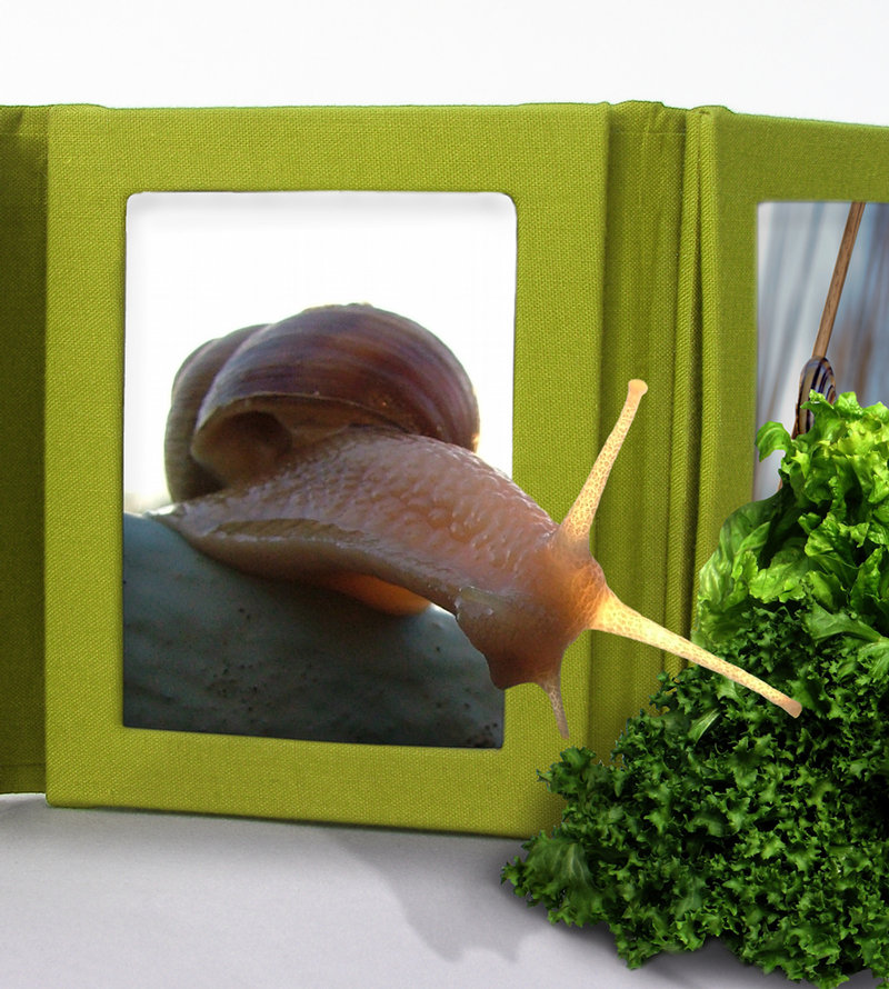 Photoshop Design by doehlman for DesignCrowd (Community Contests) | Design #8987923