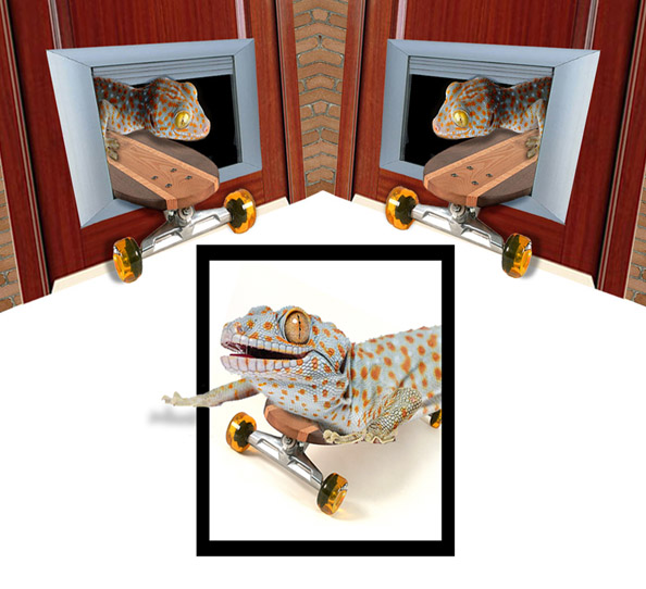 Photoshop Design by Doxieone for DesignCrowd (Community Contests) | Design #8987908