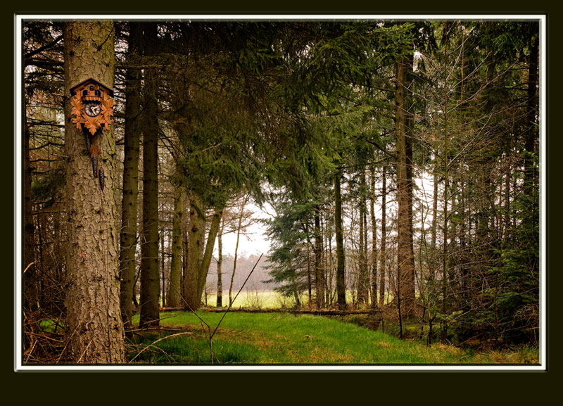 Fotografie von Marian für DesignCrowd (Community Contests) | Design #8983140