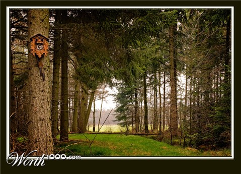 Photography by Marian