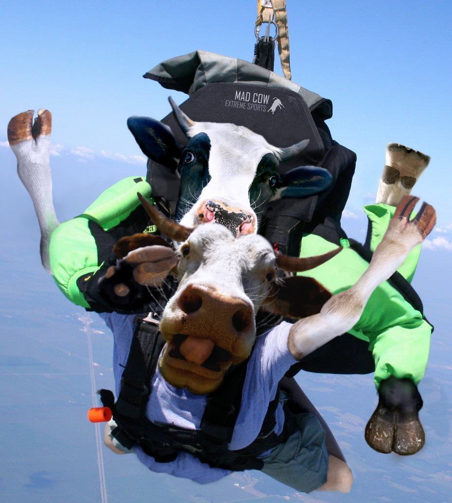 Photoshop Design by HopePhoto for DesignCrowd (Community Contests) | Design #8982731