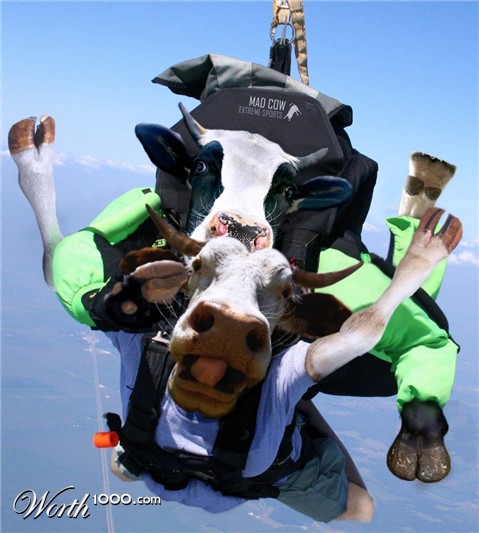 Photoshop Design by HopePhoto