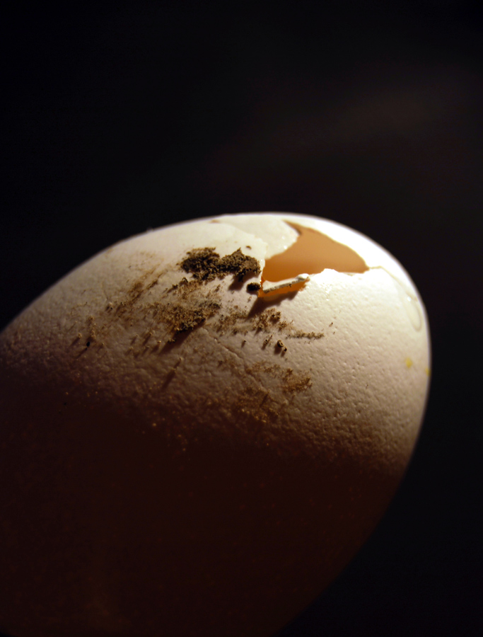 Fotografie von Tiffa130 für DesignCrowd (Community Contests) | Design #8992610