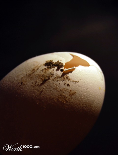 Photography by Tiffa130