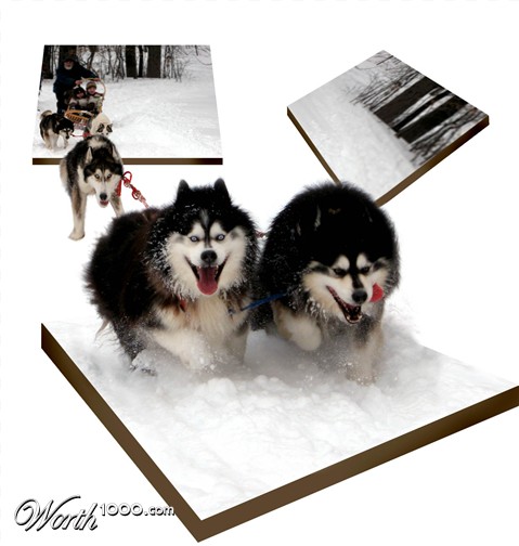 Photoshop Design by Sankrah