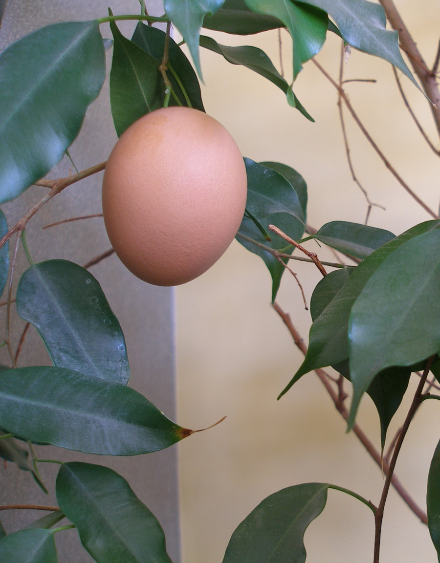 Photography by Andromeda5000 for DesignCrowd (Community Contests) | Design #8992584