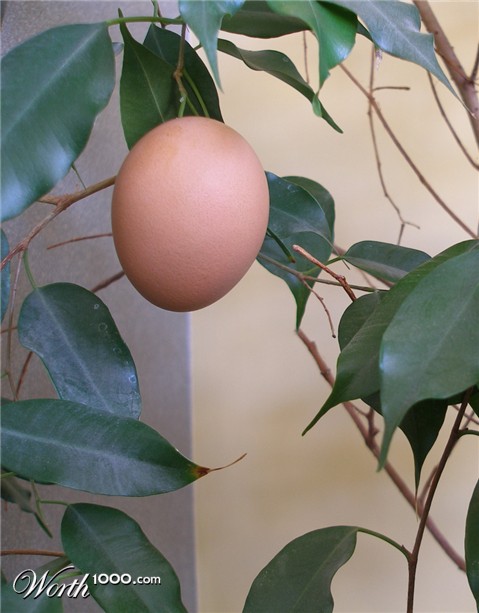 Photography by Andromeda5000