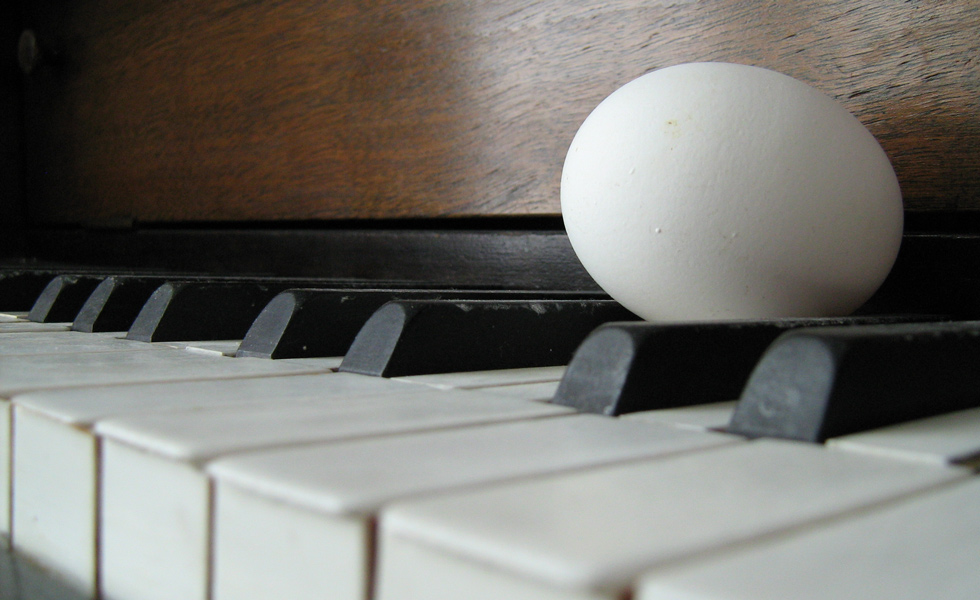 Photography by Jujubie for DesignCrowd (Community Contests) | Design #8992625