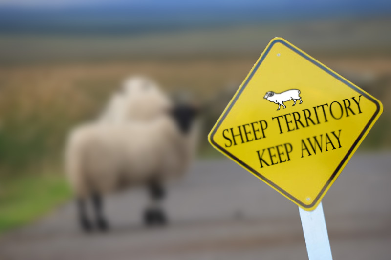 Photoshop Design by alexkouts for DesignCrowd (Community Contests) | Design #8987306