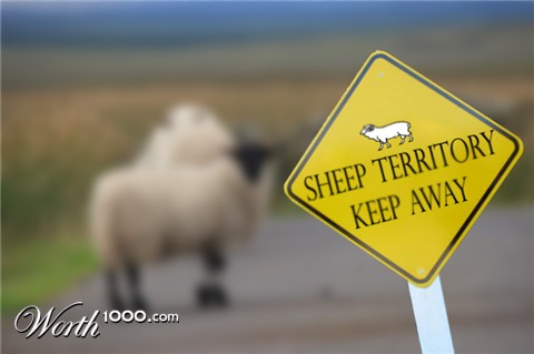 Photoshop Design by alexkouts