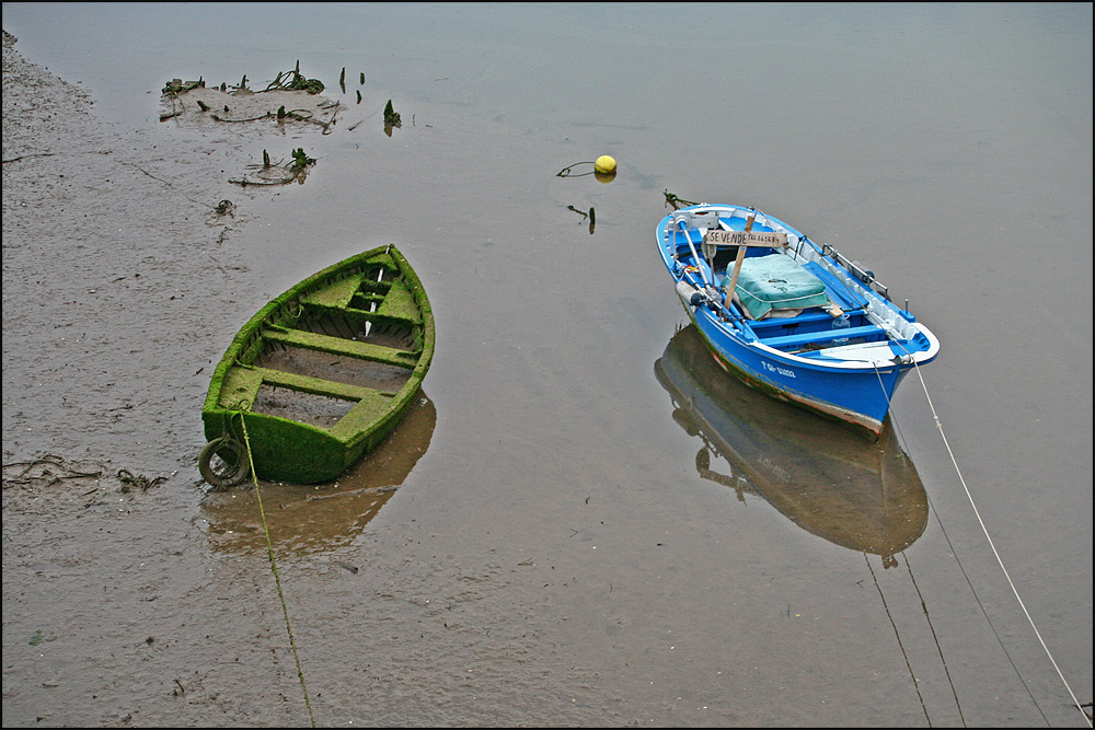 Photography by Jesusito for DesignCrowd (Community Contests) | Design #8988645