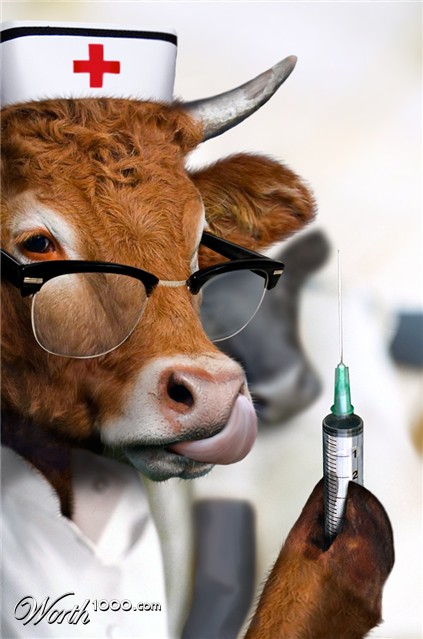 Photoshop Design by Anabole