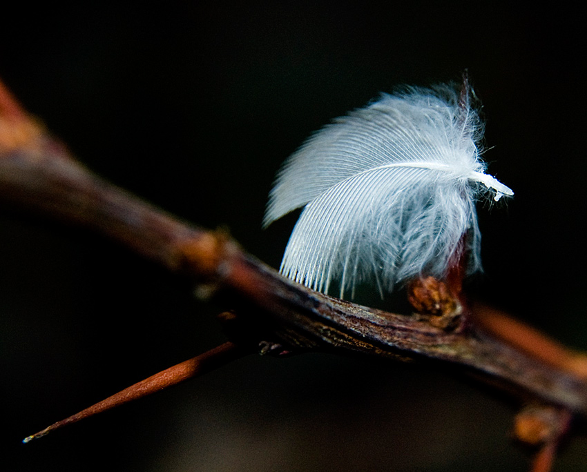 Photographie par chilledcoder pour DesignCrowd (Community Contests) | Design #8988650