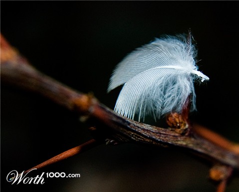 Photography by chilledcoder