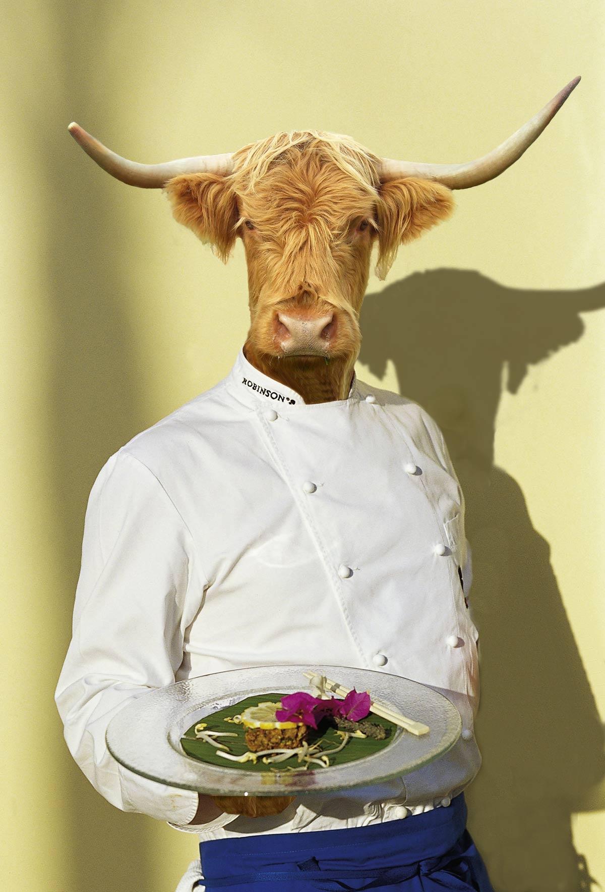 Photoshop Design by underworth for DesignCrowd (Community Contests) | Design #8982747