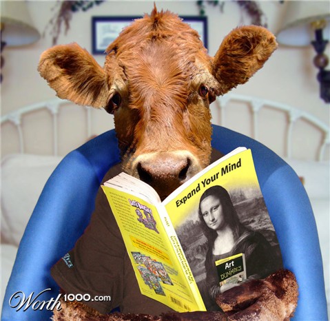 Photoshop Design by paperdreamers