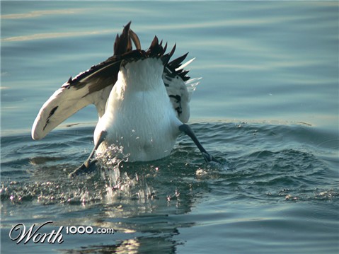 Photography by gymp93