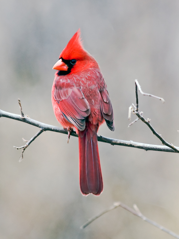 Photography by Fishcat for DesignCrowd (Community Contests) | Design #8988238