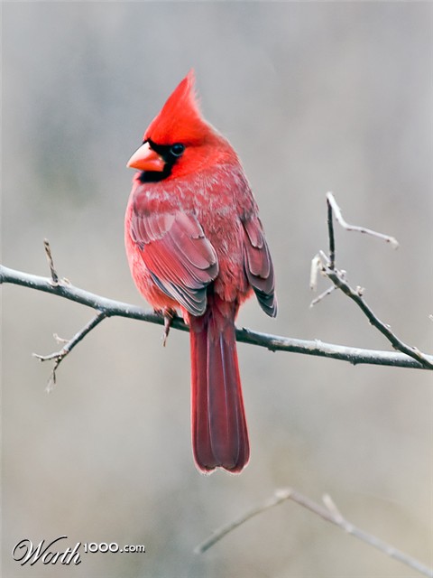 Photography by Fishcat