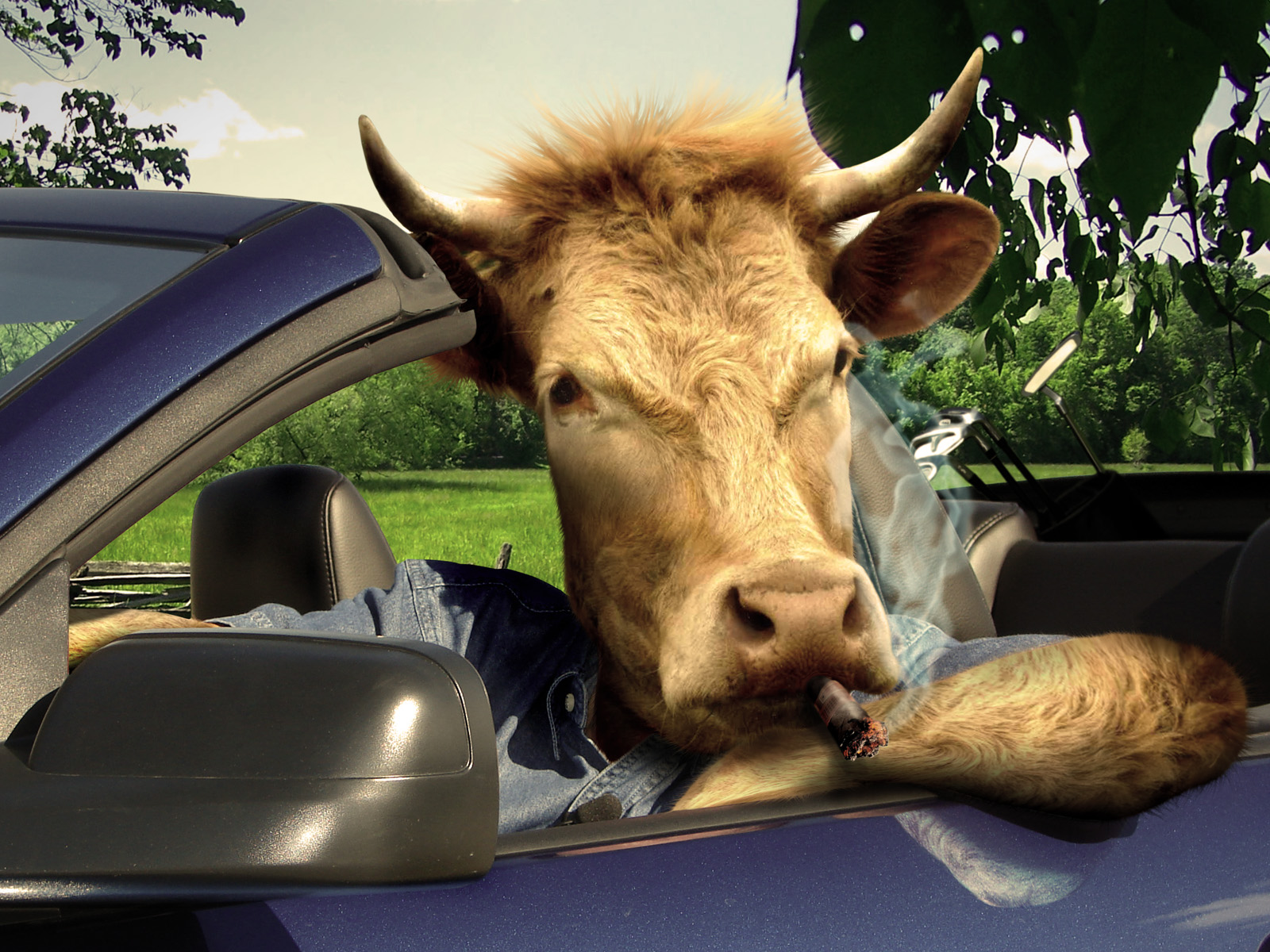 Photoshop Design by cosmitchny for DesignCrowd (Community Contests) | Design #8982757