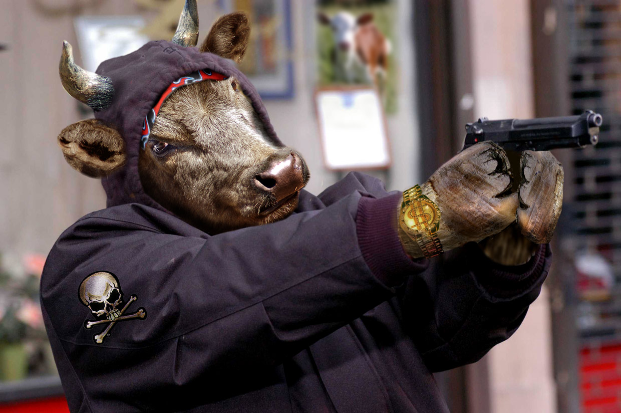 Photoshop Design by pvictory for DesignCrowd (Community Contests) | Design #8982759