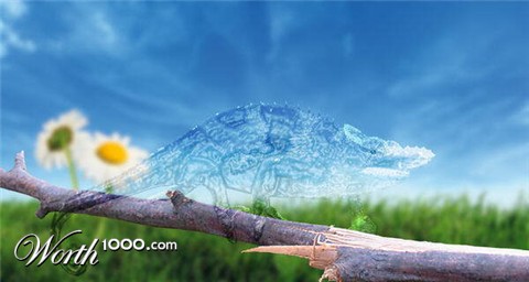 Photoshop Design by biutifool