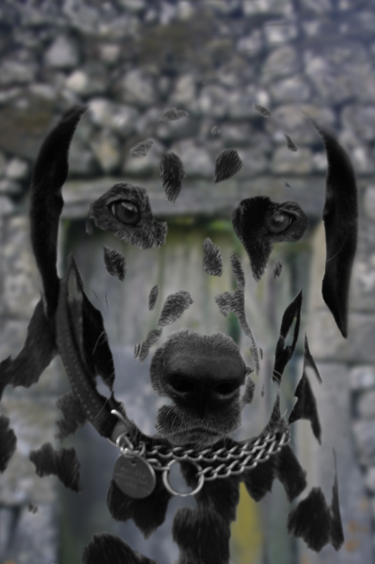 Design Photoshop par sherylphotomagic pour DesignCrowd (Community Contests) | Design #8987974