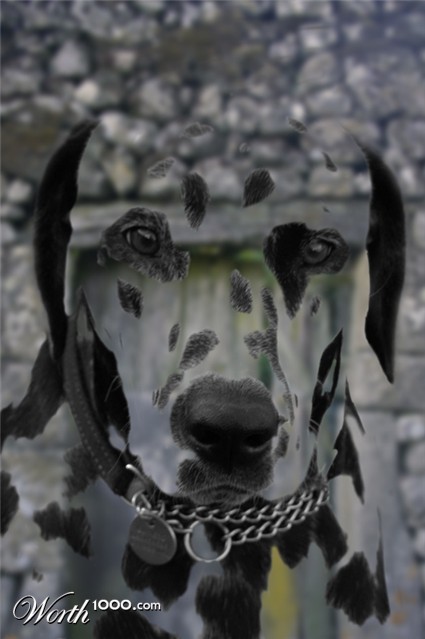 Photoshop Design by sherylphotomagic