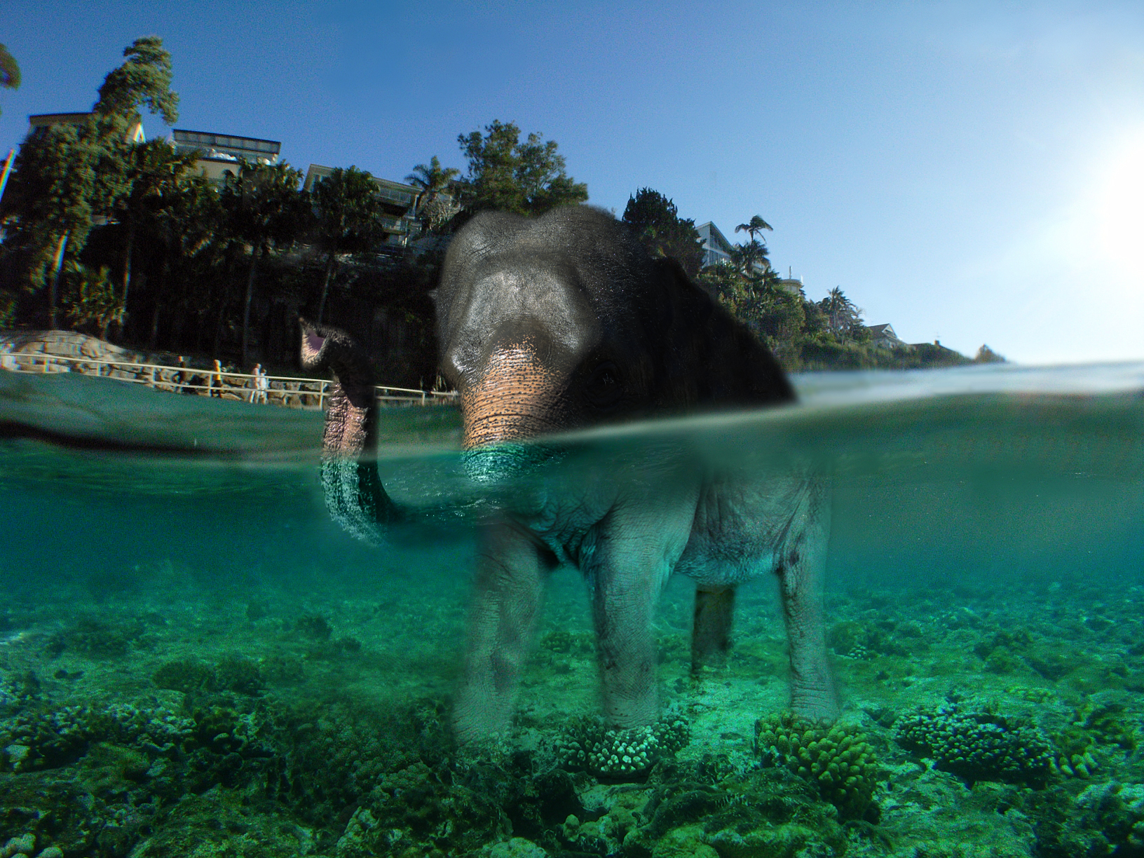 Photoshop Design by gopankarichal for DesignCrowd (Community Contests) | Design #8983382