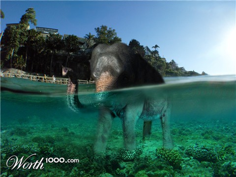 Photoshop Design by gopankarichal