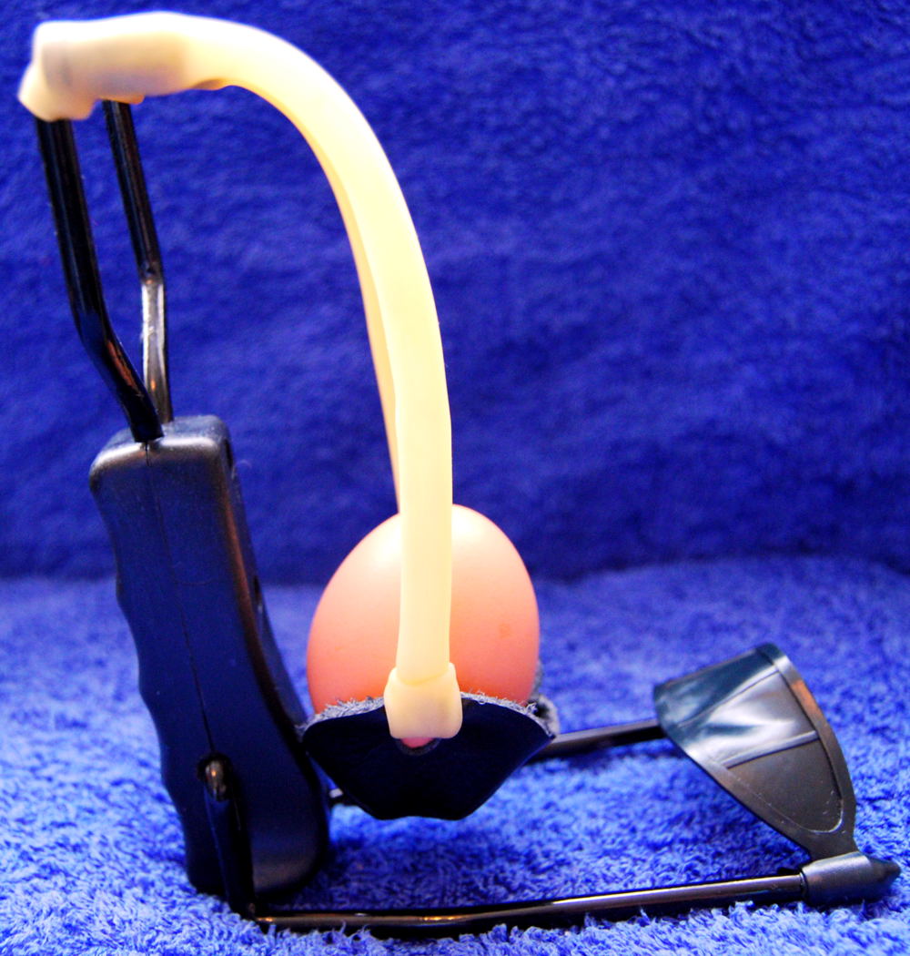 Photography by fotofanatic1 for DesignCrowd (Community Contests) | Design #8992621