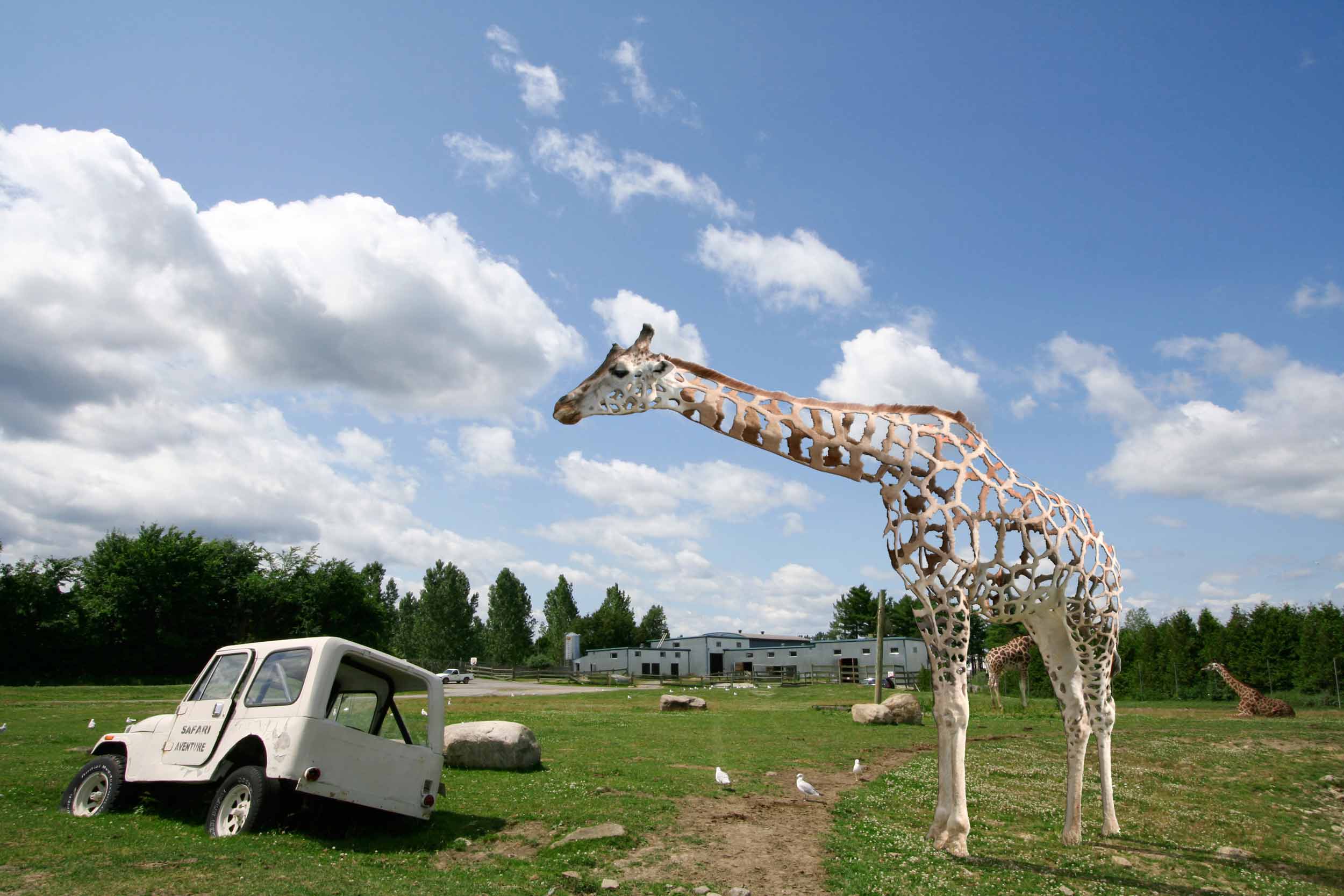 Photoshop Design by WinoBucky for DesignCrowd (Community Contests) | Design #8988017