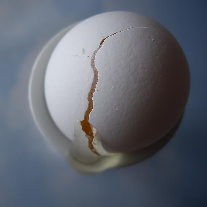 Photography by Jethrolutt for DesignCrowd (Community Contests) | Design #8992639