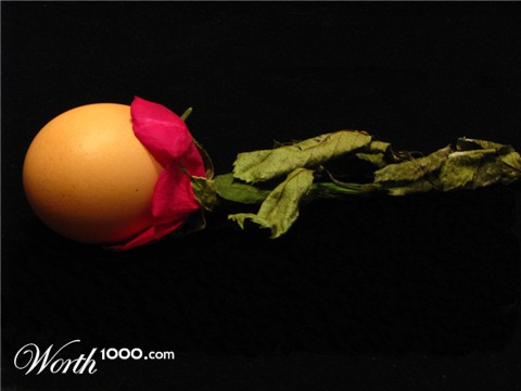 Photography by deaorsi