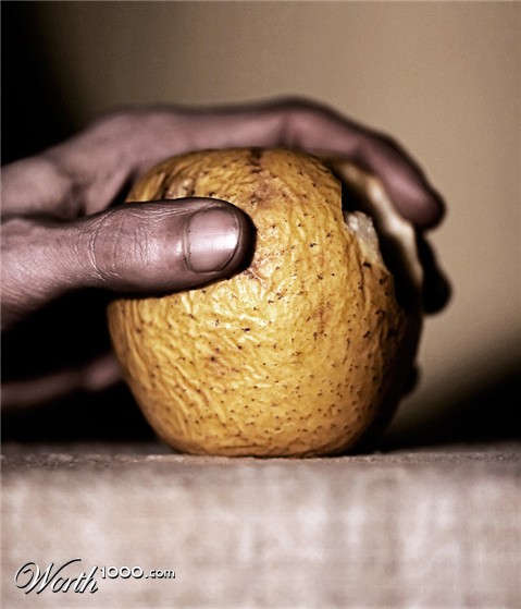 Photography by damas100