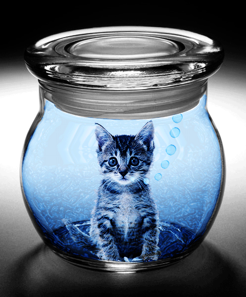 Photoshop-Design von SheilaJames03 für DesignCrowd (Community Contests) | Design #8988077