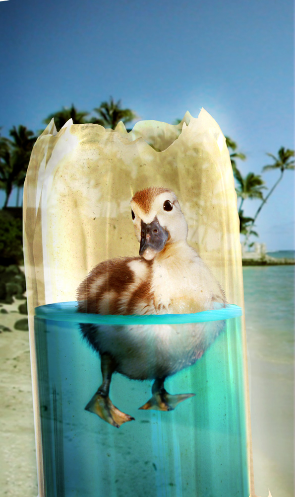 Diseño de Photoshop por ArchaicArtist para DesignCrowd (Community Contests) | Diseño #8983388