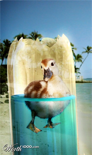 Photoshop Design by ArchaicArtist