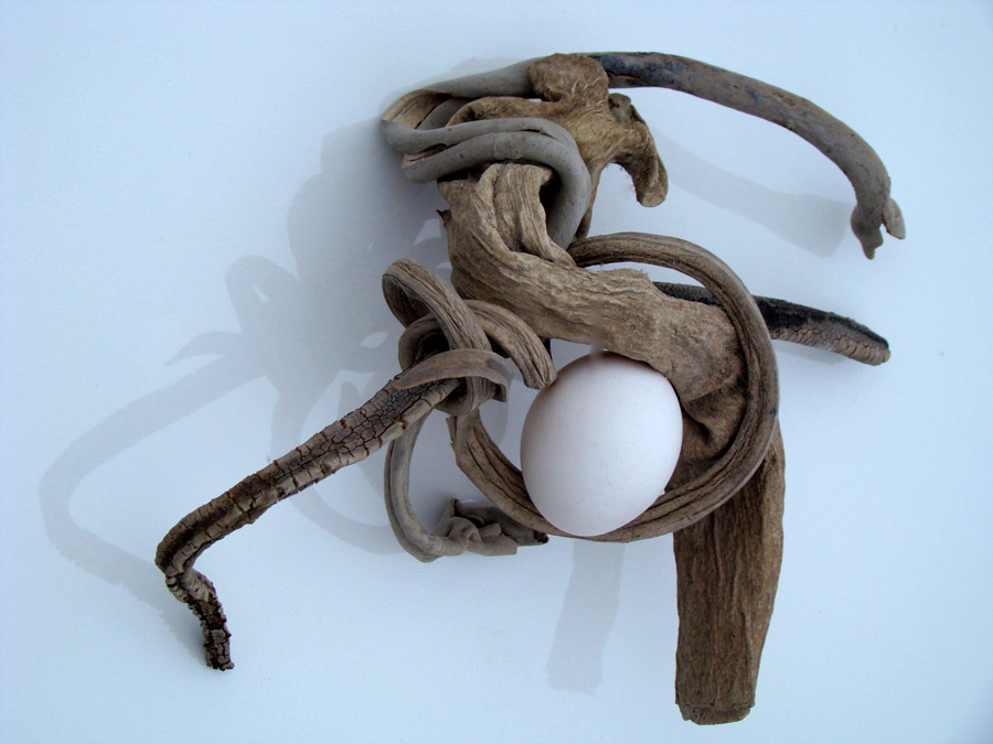 Photography by SallySmyth for DesignCrowd (Community Contests) | Design #8992673