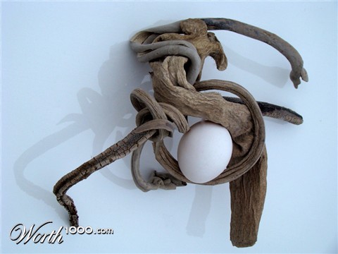 Photography by SallySmyth